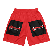 Load image into Gallery viewer, Unisex mesh shorts
