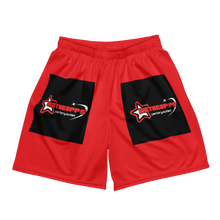 Load image into Gallery viewer, Unisex mesh shorts
